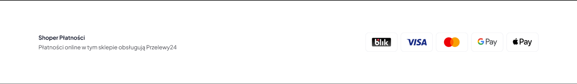 baner płatności